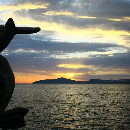 Bodrum Marina Suites * Gulluk